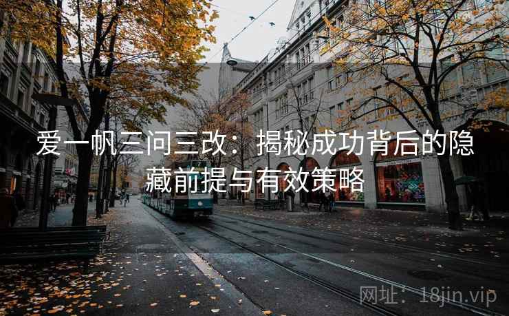 爱一帆三问三改：揭秘成功背后的隐藏前提与有效策略  第2张