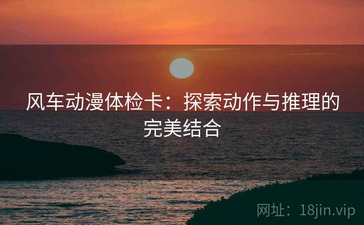 风车动漫体检卡:探索动作与推理的完美结合 第2张 风车动漫体检卡:探索动作与推理的完美结合 第2张
