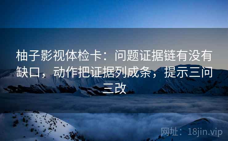 柚子影视体检卡：问题证据链有没有缺口，动作把证据列成条，提示三问三改