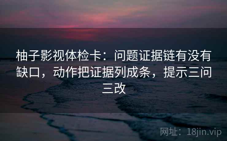 柚子影视体检卡：问题证据链有没有缺口，动作把证据列成条，提示三问三改
