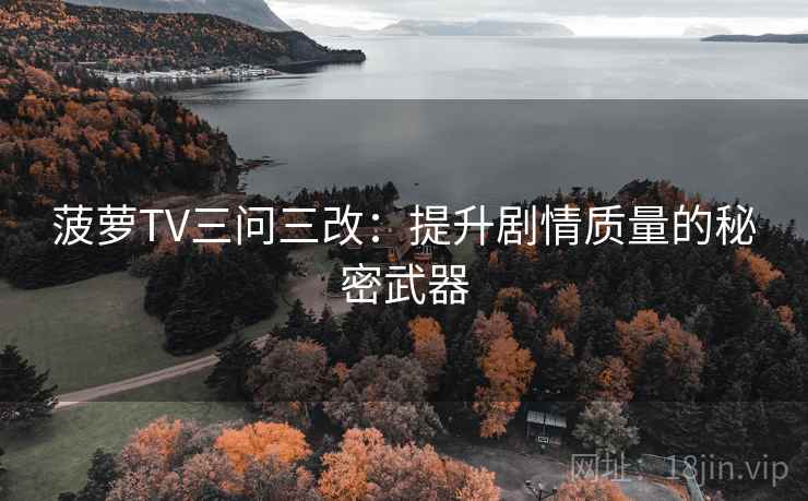 菠萝TV三问三改：提升剧情质量的秘密武器